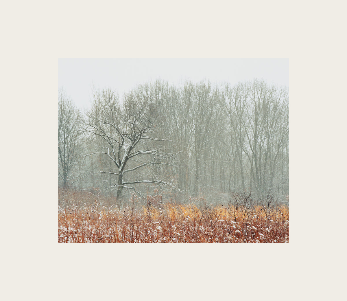 Color Photography by Peter Tkacz