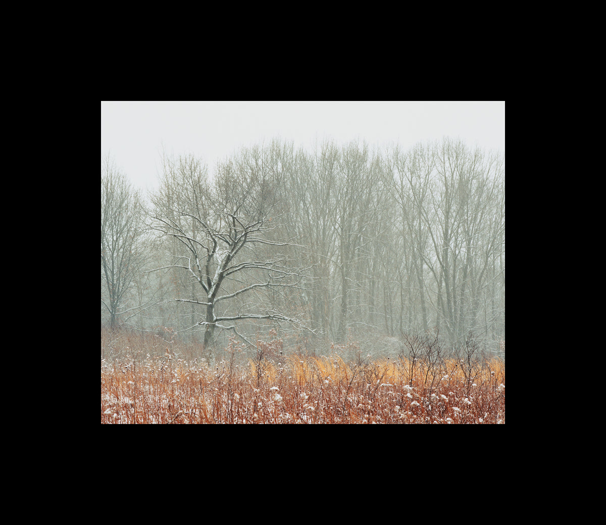 Color Photography by Peter Tkacz