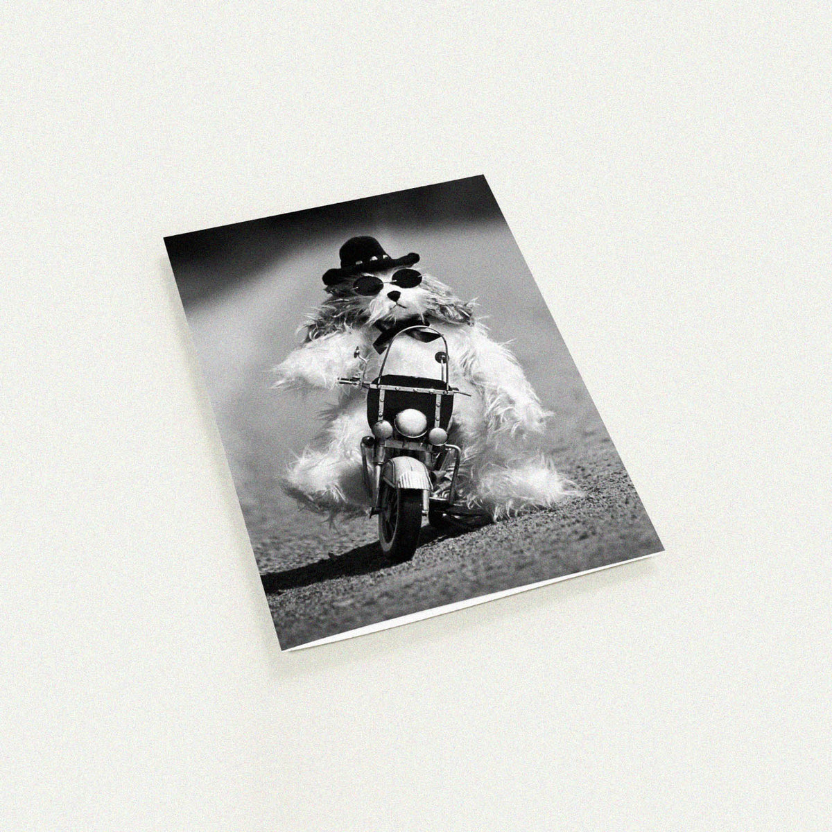 Biker Dog Greeting Card by Ulana Blacklock