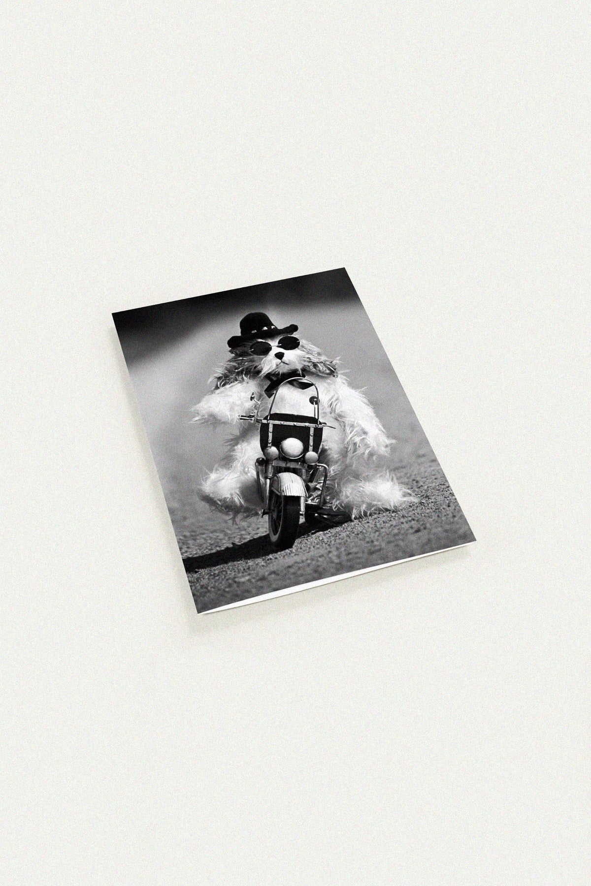 Biker Dog Greeting Card by Uliana Blacklock