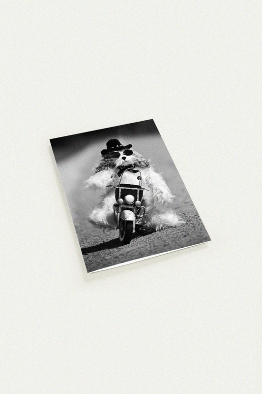 Biker Dog Greeting Card by Uliana Blacklock