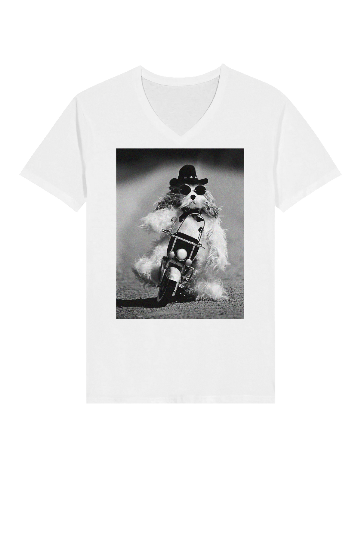 Dog on Motorcycle V-Neck T-Shirt by Uliana Blacklock