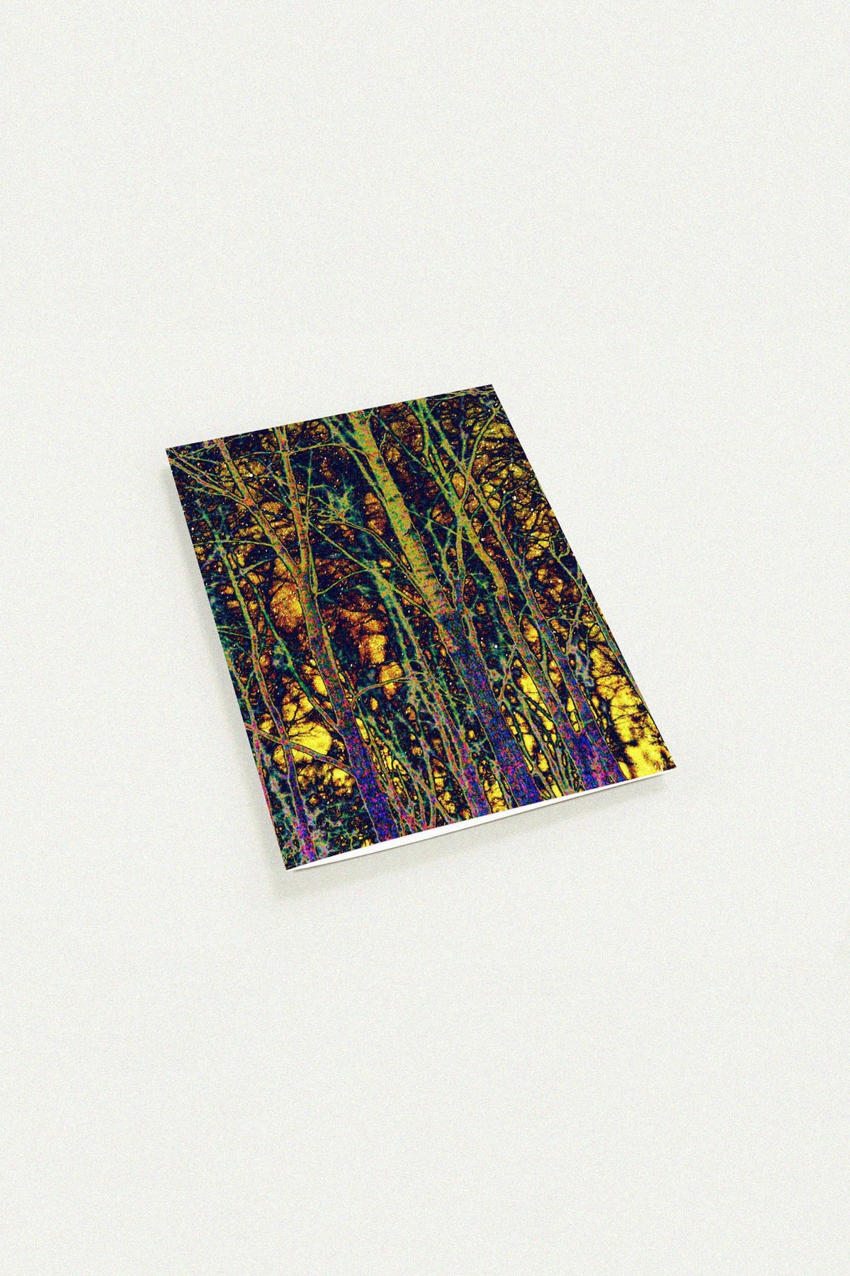 Enchanted Woods greeting card by Peter Tkacz
