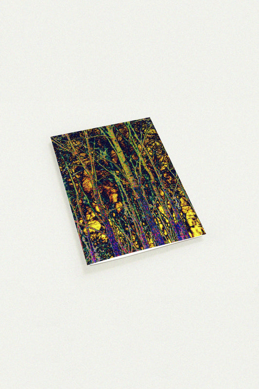 Enchanted Woods greeting card by Peter Tkacz