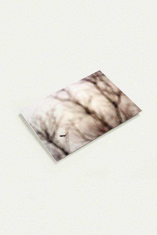 Impressionist Flight Soaring Eagle greeting card by Peter Tkacz