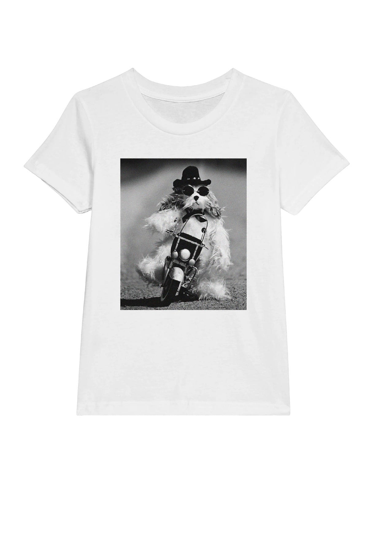 Biker Dog Kids T-Shirt by Uliana Blacklock