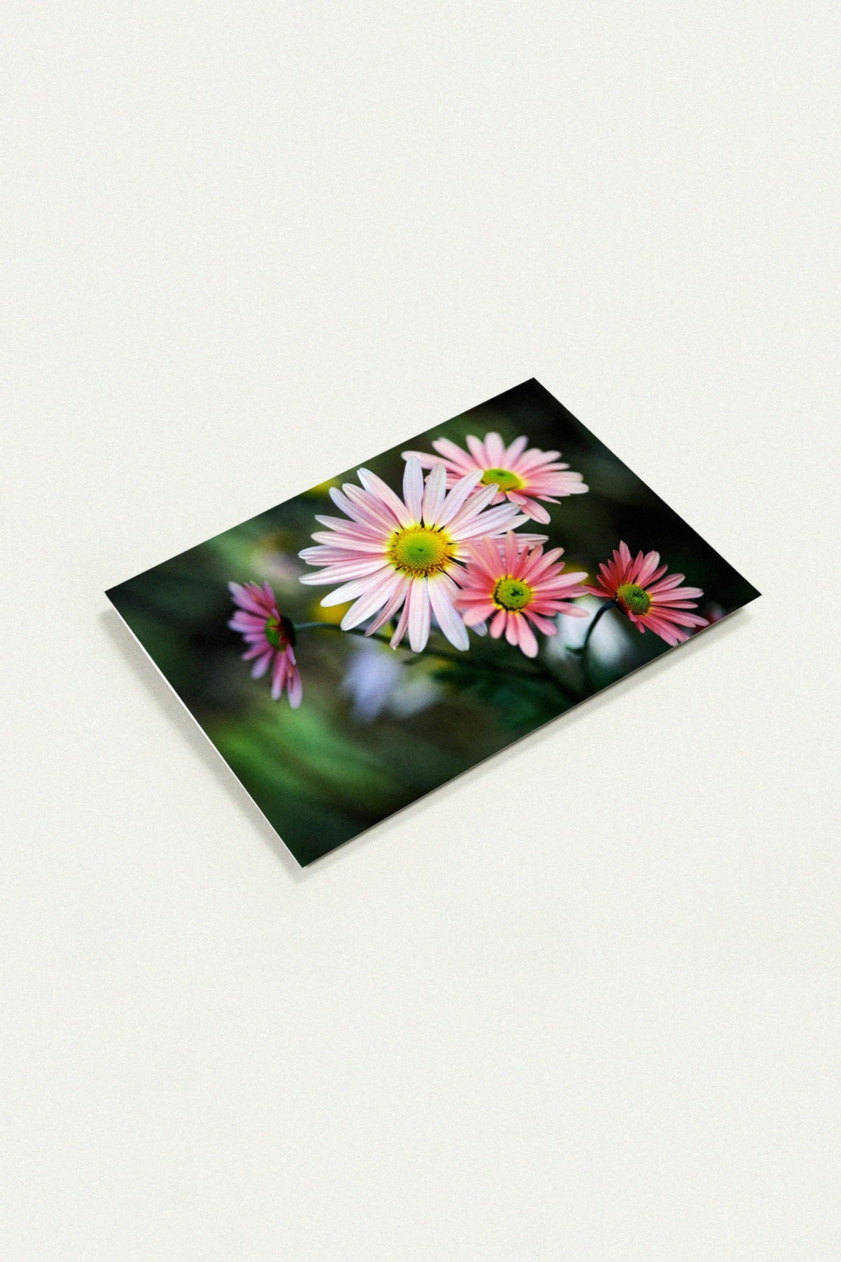 Nature’s Own Arrangement greeting card by Peter Tkacz