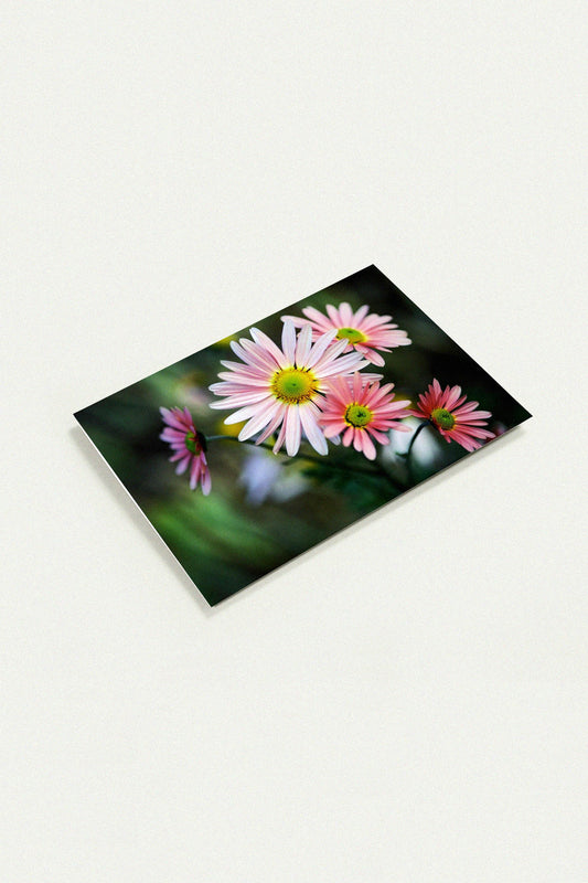 Nature’s Own Arrangement greeting card by Peter Tkacz
