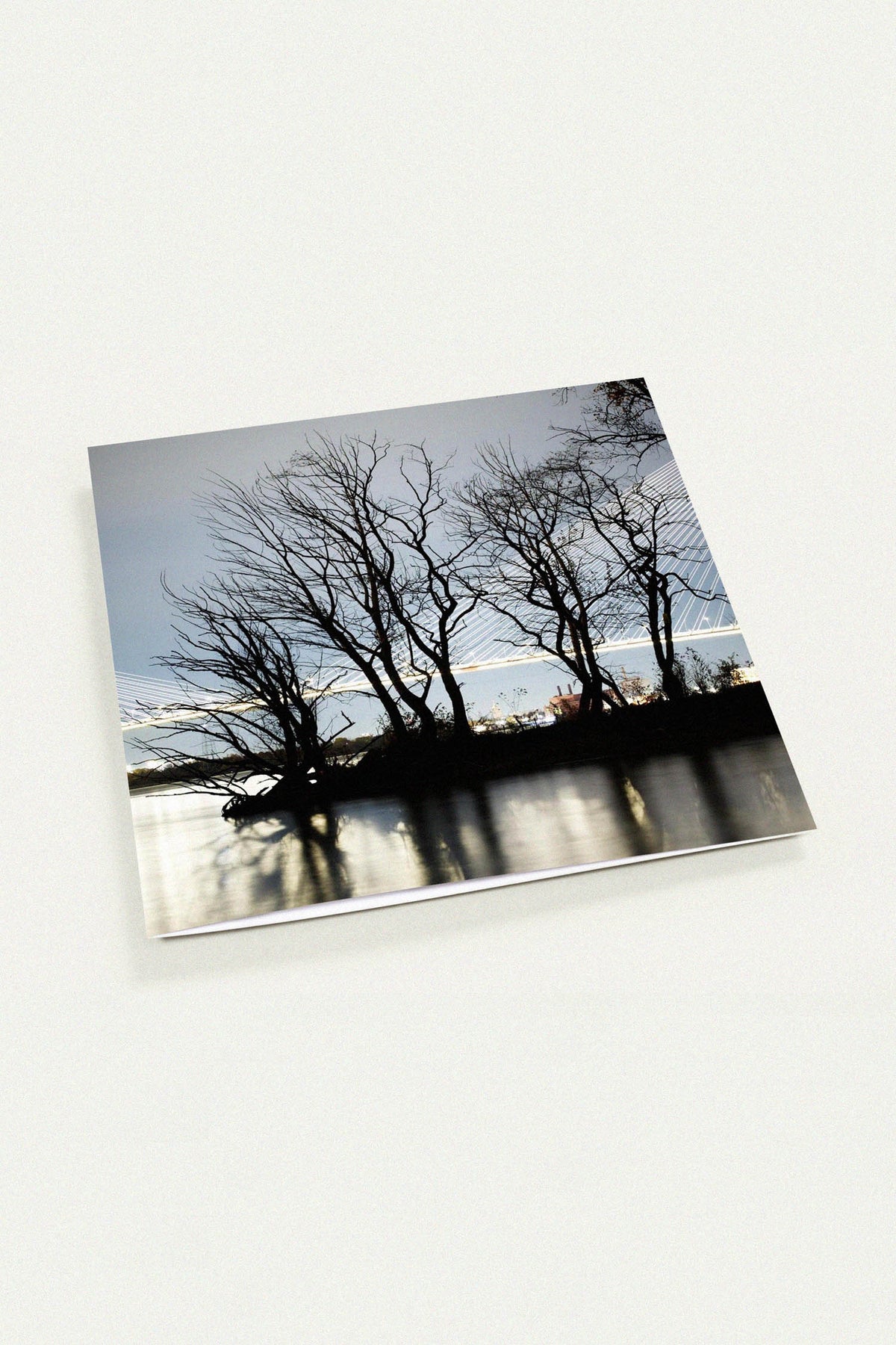 Atmospheric Noir Tree Silhouette by Peter Tkacz