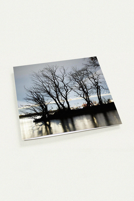 Atmospheric Noir Tree Silhouette by Peter Tkacz